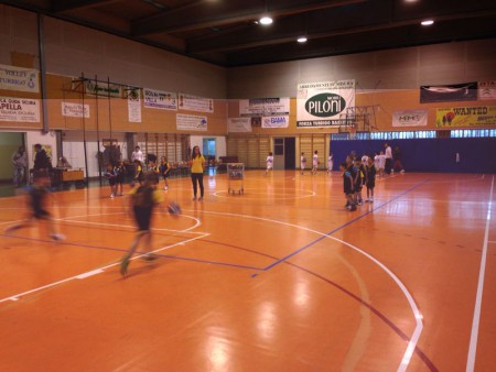 Scoiattoli a Turbigo